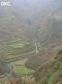 Dans la vallée bien cultivée aux nombreuses terrasses on aperçoit à mi hauteur le porche d'entrée de l'exsurgence de Mawandong 麻湾洞 (Grotte du virage). (Banzhu, Zheng'an, Zunyi, Guizhou)