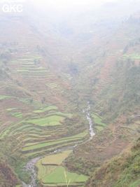 Dans la vallée bien cultivée aux nombreuses terrasses on aperçoit à mi hauteur le porche d'entrée de l'exsurgence de Mawandong 麻湾洞 (Grotte du virage). (Banzhu, Zheng'an, Zunyi, Guizhou)