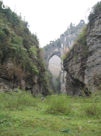 Le pont-naturel et le canyon de Longqiaoge 龙桥阁 reliques de l'ancienne galerie d'entrée de la grotte de Longqiaogedong (Grotte de la pagode de l'arche du dragon) 龙桥阁洞,  réseau de Longnudong 龙女洞. (Shipin, Zheng'an 正安, Zunyi Shi 遵义市, Guizhou 贵州省, Chine 中国)