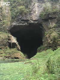 Dans le réseau de Shuanghedongqun, l'entrée amont (résurgence) de Longtanzishuidong 龙潭子水洞 dans le fond de la doline de Longtanzi. (Wenquan, Suiyang, Zunyi, Guizhou)