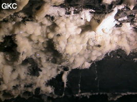 Grotte de Pixiaodong 皮硝洞 - réseau de Shuanghedong 双河洞 - (Wenquan, Suiyang 绥阳, Zunyi 遵义市, Guizhou 贵州省, Chine 中国).