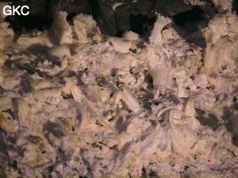 Grotte de Pixiaodong 皮硝洞 - réseau de Shuanghedong 双河洞 - (Wenquan, Suiyang 绥阳, Zunyi 遵义市, Guizhou 贵州省, Chine 中国).