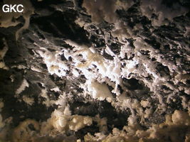 Grotte de Pixiaodong 皮硝洞 - réseau de Shuanghedong 双河洞 - (Wenquan, Suiyang 绥阳, Zunyi 遵义市, Guizhou 贵州省, Chine 中国).