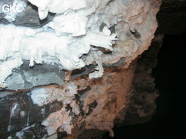 Grotte de Pixiaodong 皮硝洞 - réseau de Shuanghedong 双河洞 - (Wenquan, Suiyang 绥阳, Zunyi 遵义市, Guizhou 贵州省, Chine 中国).