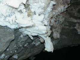 Grotte de Pixiaodong 皮硝洞 - réseau de Shuanghedong 双河洞 - (Wenquan, Suiyang 绥阳, Zunyi 遵义市, Guizhou 贵州省, Chine 中国).