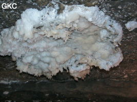 Grotte de Pixiaodong 皮硝洞 - réseau de Shuanghedong 双河洞 - (Wenquan, Suiyang 绥阳, Zunyi 遵义市, Guizhou 贵州省, Chine 中国).