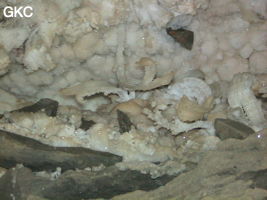 Grotte de Pixiaodong 皮硝洞 - réseau de Shuanghedong 双河洞 - (Wenquan, Suiyang 绥阳, Zunyi 遵义市, Guizhou 贵州省, Chine 中国).