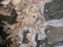 Grotte de Pixiaodong 皮硝洞 - réseau de Shuanghedong 双河洞 - (Wenquan, Suiyang 绥阳, Zunyi 遵义市, Guizhou 贵州省, Chine 中国).