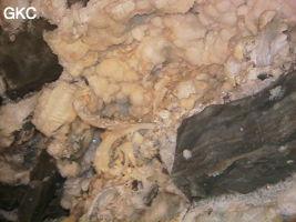 Grotte de Pixiaodong 皮硝洞 - réseau de Shuanghedong 双河洞 - (Wenquan, Suiyang 绥阳, Zunyi 遵义市, Guizhou 贵州省, Chine 中国).