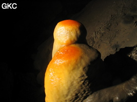 Stalagmite teintée de rouge par les oxydes de fer, Grotte de Lingshandong 灵山洞 - réseau de Mawangdong 麻王洞 - (Fuyan, Zheng'an 正安, Zunyi Shi 遵义市, Guizhou 贵州省, Chine 中国)