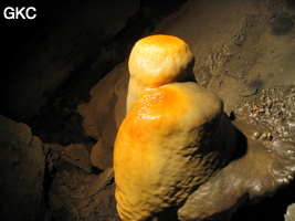 Stalagmite teintée de rouge par les oxydes de fer, Grotte de Lingshandong 灵山洞 - réseau de Mawangdong 麻王洞 - (Fuyan, Zheng'an 正安, Zunyi Shi 遵义市, Guizhou 贵州省, Chine 中国)