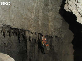 Grotte de Lingshandong 灵山洞 - réseau de Mawangdong 麻王洞 - (Fuyan, Zheng'an 正安, Zunyi Shi 遵义市, Guizhou 贵州省, Chine 中国)