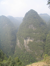 Dans le réseau de Shuanghedongqun, Pitons qui surplombent l'entrée amont (résurgence) de Longtanzishuidong 龙潭子水洞 dans le fond de la doline de Longtanzi. (Wenquan, Suiyang, Zunyi, Guizhou) 