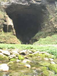 Dans le réseau de Shuanghedongqun, l'entrée amont (résurgence) de Longtanzishuidong 龙潭子水洞 dans le fond de la doline de Longtanzi. (Wenquan, Suiyang, Zunyi, Guizhou)