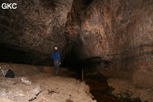 Grotte de Lingshandong 灵山洞 - réseau de Mawangdong 麻王洞 - (Fuyan, Zheng'an 正安, Zunyi Shi 遵义市, Guizhou 贵州省, Chine 中国)