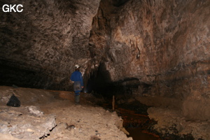 Grotte de Lingshandong 灵山洞 - réseau de Mawangdong 麻王洞 - (Fuyan, Zheng'an 正安, Zunyi Shi 遵义市, Guizhou 贵州省, Chine 中国)