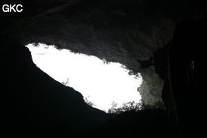 En contre-jour l'entrée de la grotte de Longqiaogedong (Grotte de la pagode de l'arche du dragon) 龙桥阁洞,  réseau de Longnudong 龙女洞. (Shipin, Zheng'an 正安, Zunyi Shi 遵义市, Guizhou 贵州省, Chine 中国)