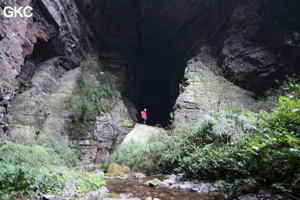 L'entrée (actuelle) de la grotte-perte de Longqiaogedong (Grotte de la pagode de l'arche du dragon) 龙桥阁洞,  réseau de Longnudong 龙女洞. (Shipin, Zheng'an 正安, Zunyi Shi 遵义市, Guizhou 贵州省, Chine 中国)