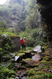 Cascatelle près de l'entrée de la grotte-perte de Longqiaogedong (Grotte de la pagode de l'arche du dragon) 龙桥阁洞,  réseau de Longnudong 龙女洞. (Shipin, Zheng'an, Zunyi, Guizhou)