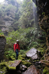 Cascatelle près de l'entrée de la grotte-perte de Longqiaogedong (Grotte de la pagode de l'arche du dragon) 龙桥阁洞,  réseau de Longnudong 龙女洞. (Shipin, Zheng'an, Zunyi, Guizhou)