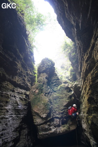 Franchissement d'un ressaut dans le court canyon situé entre l'arche et l'entrée actuelle de la grotte de Longqiaogedong (Grotte de la pagode de l'arche du dragon) 龙桥阁洞,  réseau de Longnudong 龙女洞. (Shipin, Zheng'an 正安, Zunyi Shi 遵义市, Guizhou 贵州省, Chine 中国)