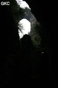 Franchissement d'un ressaut dans le court canyon situé entre l'arche et l'entrée actuelle de la grotte de Longqiaogedong (Grotte de la pagode de l'arche du dragon) 龙桥阁洞,  réseau de Longnudong 龙女洞. (Shipin, Zheng'an 正安, Zunyi Shi 遵义市, Guizhou 贵州省, Chine 中国)