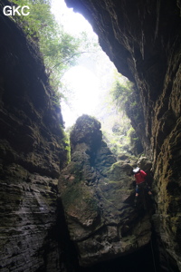 Franchissement d'un ressaut dans le court canyon situé entre l'arche et l'entrée actuelle de la grotte de Longqiaogedong (Grotte de la pagode de l'arche du dragon) 龙桥阁洞,  réseau de Longnudong 龙女洞. (Shipin, Zheng'an 正安, Zunyi Shi 遵义市, Guizhou 贵州省, Chine 中国)