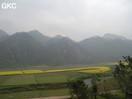 Au loin au delà des champs de colza dans la brume matinale le porche de la grotte de Dadong 大洞 (Wenquan, Suiyang 绥阳, Zunyi, 遵义市 Guizhou 贵州省)