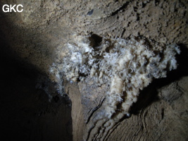 Concrétion pariétale grotte de Dadong 大洞 (Wenquan, Suiyang 绥阳, Zunyi, 遵义市 Guizhou 贵州省)