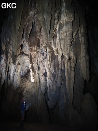 Concrétions dans la grotte de Dadong 大洞 (Wenquan, Suiyang 绥阳, Zunyi, 遵义市 Guizhou 贵州省)