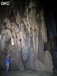 Concrétions dans la grotte de Dadong 大洞 (Wenquan, Suiyang 绥阳, Zunyi, 遵义市 Guizhou 贵州省)