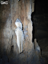 Concrétions dans la grotte de Dadong 大洞 (Wenquan, Suiyang 绥阳, Zunyi, 遵义市 Guizhou 贵州省)