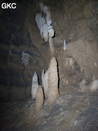 Concrétions dans la grotte de Dadong 大洞 (Wenquan, Suiyang 绥阳, Zunyi, 遵义市 Guizhou 贵州省)