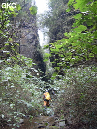 Le canyon d'entrée de Longqiaogedong 龙桥阁洞 (Grotte de la pagode de l'arche du dragon) 龙桥阁洞 une entrée du réseau de Longnudong 龙女洞. (Shipin, Zheng'an 正安, Zunyi Shi 遵义市, Guizhou 贵州省, Chine 中国)