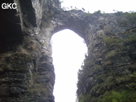 Le pont-naturel de Longqiaoge 龙桥阁 relique de l'ancienne galerie d'entrée de la grotte de Longqiaogedong (Grotte de la pagode de l'arche du dragon) 龙桥阁洞,  réseau de Longnudong 龙女洞. (Shipin, Zheng'an 正安, Zunyi Shi 遵义市, Guizhou 贵州省, Chine 中国)