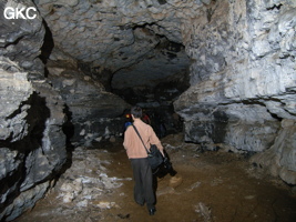 Grotte de Pixiaodong 皮硝洞 - réseau de Shuanghedong 双河洞 - (Wenquan, Suiyang 绥阳, Zunyi 遵义市, Guizhou 贵州省, Chine 中国).