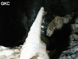 Grotte de Pixiaodong 皮硝洞 - réseau de Shuanghedong 双河洞 - (Wenquan, Suiyang 绥阳, Zunyi 遵义市, Guizhou 贵州省, Chine 中国).