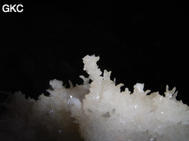 Grotte de Pixiaodong 皮硝洞 - réseau de Shuanghedong 双河洞 - (Wenquan, Suiyang 绥阳, Zunyi 遵义市, Guizhou 贵州省, Chine 中国).