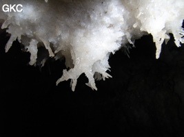 Grotte de Pixiaodong 皮硝洞 - réseau de Shuanghedong 双河洞 - (Wenquan, Suiyang 绥阳, Zunyi 遵义市, Guizhou 贵州省, Chine 中国).