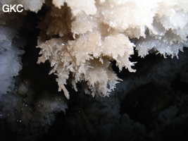 Grotte de Pixiaodong 皮硝洞 - réseau de Shuanghedong 双河洞 - (Wenquan, Suiyang 绥阳, Zunyi 遵义市, Guizhou 贵州省, Chine 中国).