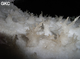 Grotte de Pixiaodong 皮硝洞 - réseau de Shuanghedong 双河洞 - (Wenquan, Suiyang 绥阳, Zunyi 遵义市, Guizhou 贵州省, Chine 中国).