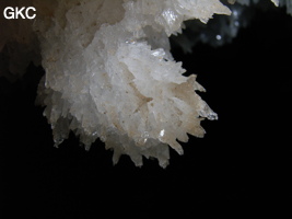 Grotte de Pixiaodong 皮硝洞 - réseau de Shuanghedong 双河洞 - (Wenquan, Suiyang 绥阳, Zunyi 遵义市, Guizhou 贵州省, Chine 中国).