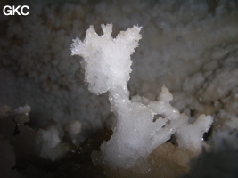 Grotte de Pixiaodong 皮硝洞 - réseau de Shuanghedong 双河洞 - (Wenquan, Suiyang 绥阳, Zunyi 遵义市, Guizhou 贵州省, Chine 中国).