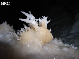 Grotte de Pixiaodong 皮硝洞 - réseau de Shuanghedong 双河洞 - (Wenquan, Suiyang 绥阳, Zunyi 遵义市, Guizhou 贵州省, Chine 中国).