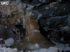 Grotte de Pixiaodong 皮硝洞 - réseau de Shuanghedong 双河洞 - (Wenquan, Suiyang 绥阳, Zunyi 遵义市, Guizhou 贵州省, Chine 中国).
