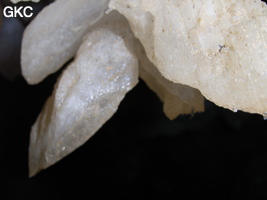 Grotte de Pixiaodong 皮硝洞 - réseau de Shuanghedong 双河洞 - (Wenquan, Suiyang 绥阳, Zunyi 遵义市, Guizhou 贵州省, Chine 中国).