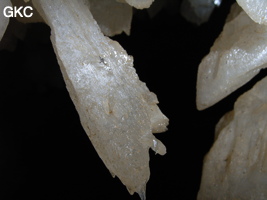 Grotte de Pixiaodong 皮硝洞 - réseau de Shuanghedong 双河洞 - (Wenquan, Suiyang 绥阳, Zunyi 遵义市, Guizhou 贵州省, Chine 中国).