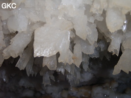 Grotte de Pixiaodong 皮硝洞 - réseau de Shuanghedong 双河洞 - (Wenquan, Suiyang 绥阳, Zunyi 遵义市, Guizhou 贵州省, Chine 中国).