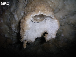 Grotte de Pixiaodong 皮硝洞 - réseau de Shuanghedong 双河洞 - (Wenquan, Suiyang 绥阳, Zunyi 遵义市, Guizhou 贵州省, Chine 中国).