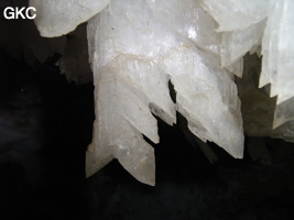 Grotte de Pixiaodong 皮硝洞 - réseau de Shuanghedong 双河洞 - (Wenquan, Suiyang 绥阳, Zunyi 遵义市, Guizhou 贵州省, Chine 中国).